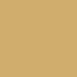 #61 Beige