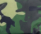 CAMOUFLAGE