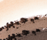 C1
