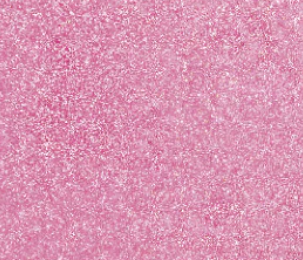 53S COSMIC PINK