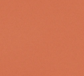 31 VIVID CORAL