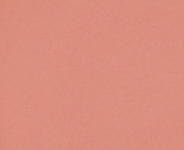 50.5 ROSY PEACH