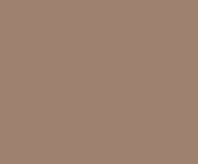 DIFFUSED BRONZER LIGHT