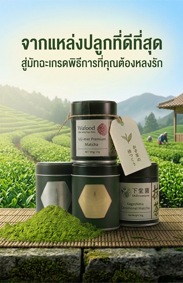 MATCHA